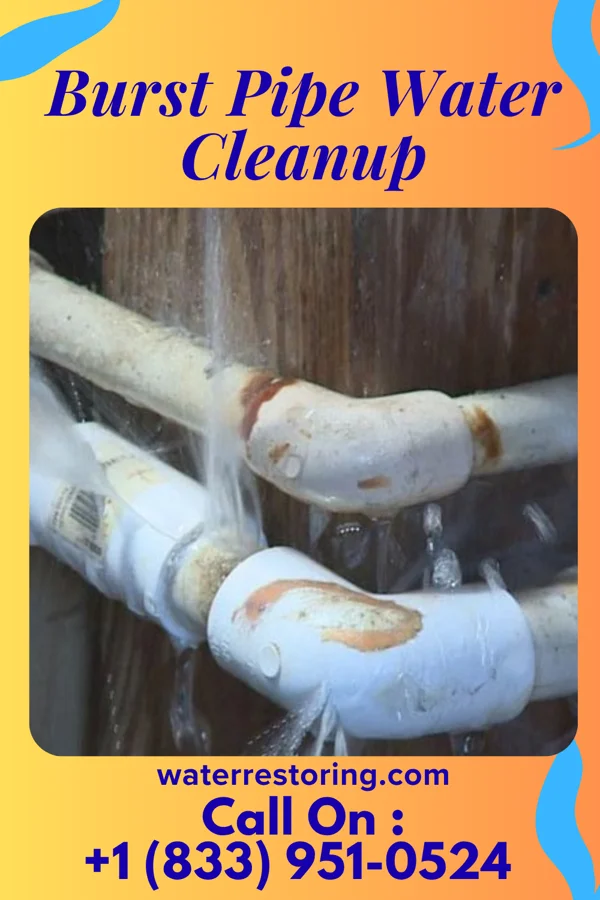 Burst Pipe Water Cleanup in Harrisville, MI
