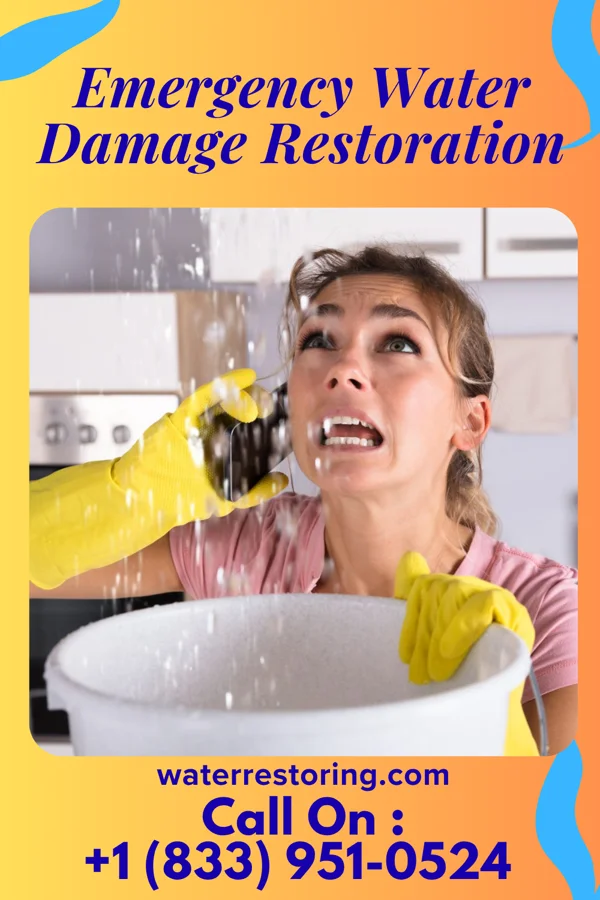Emergency Water Damage Restoration in Harrisville, MI