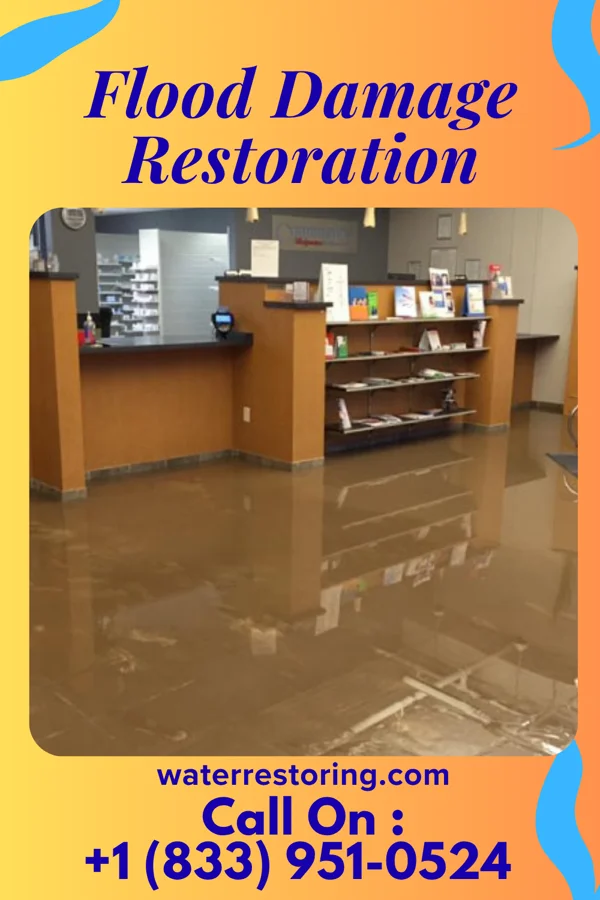 Flood Damage Restoration in Harrisville, MI