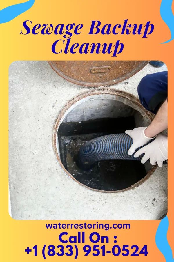 Sewage Backup Cleanup in Harrisville, MI